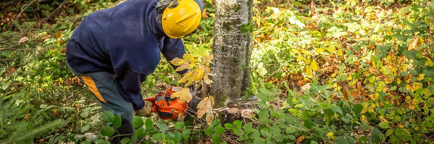 Uvex Soldes Magasin -Uvex Soldes Magasin agent exploitation forestiere 1500x500 1